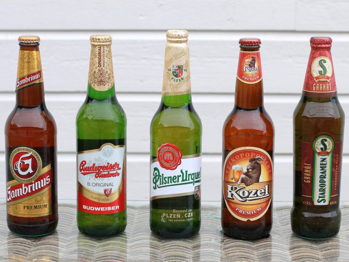 Czech Beer Tasting in the Old Town