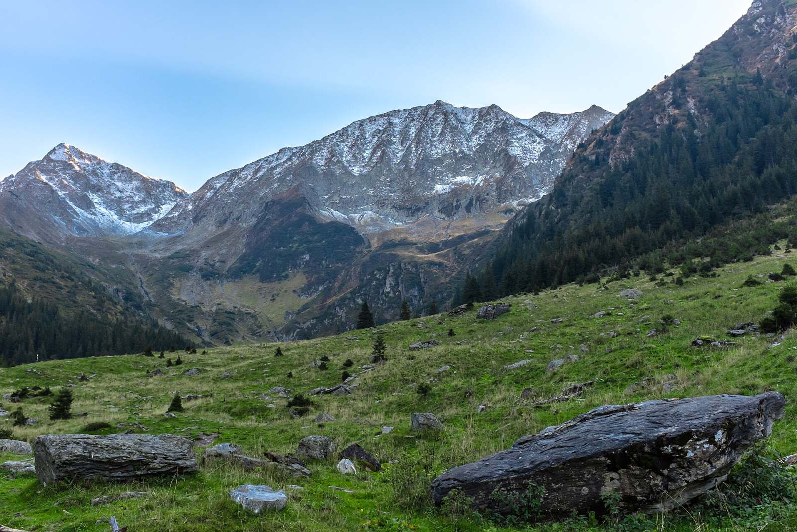 The Libearty bear sanctuary in Zărnești