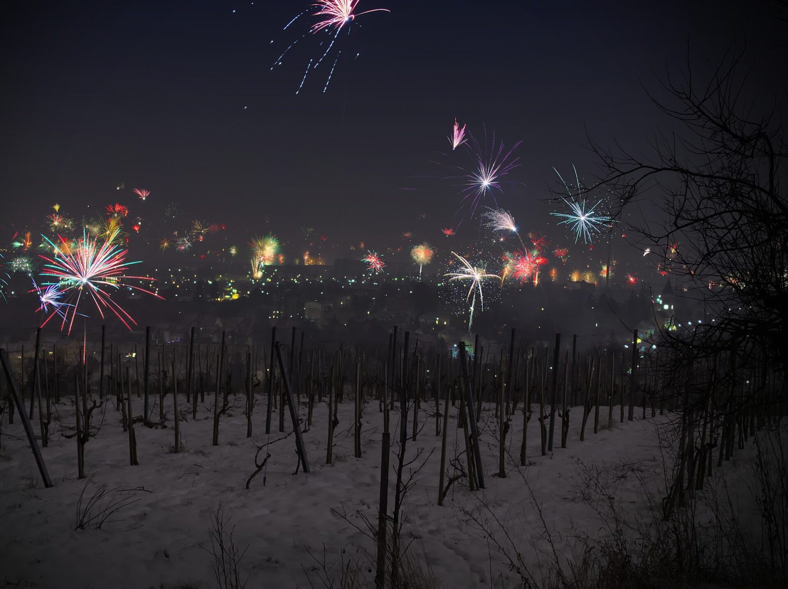 Vineyard walk and Heuriger evening in Nussdorf