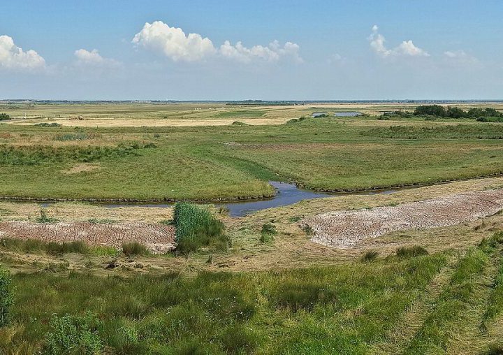 The Marais: mansions, the Pletzl and four centuries of neighbours