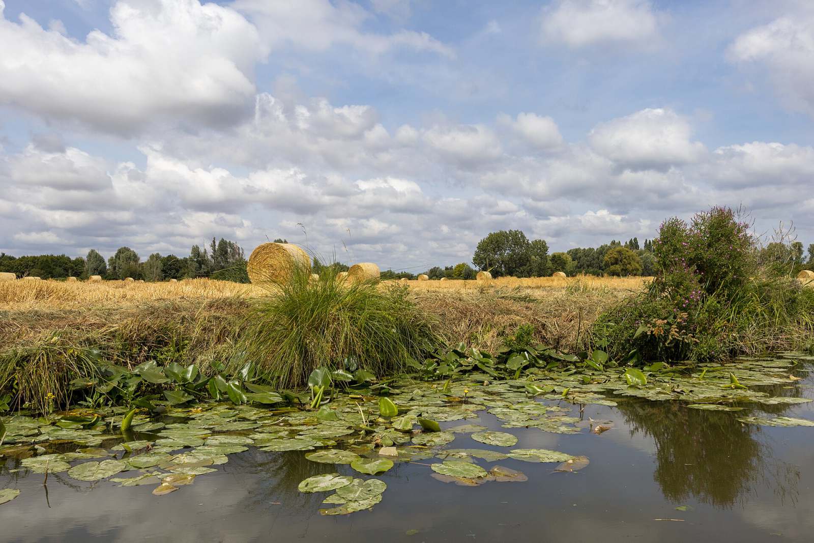 The Marais: mansions, the Pletzl and four centuries of neighbours