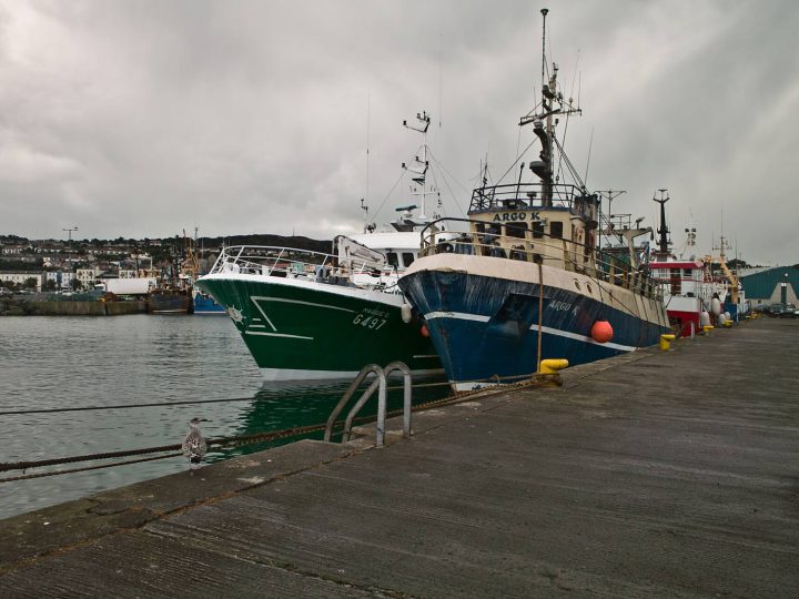 Howth cliff path and harbour