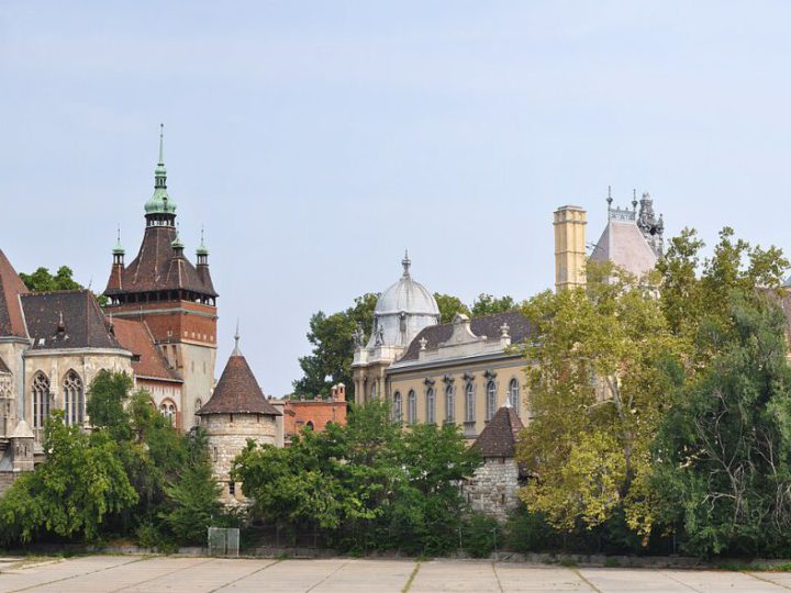 Hungarian wine tasting with a sommelier