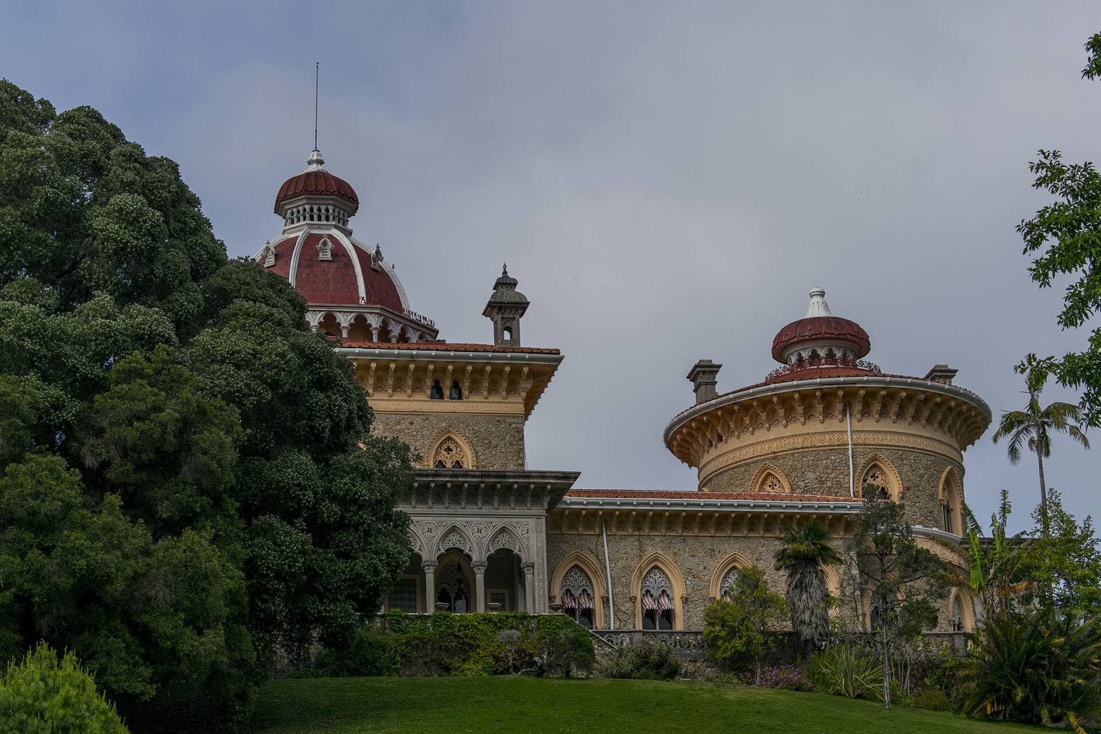 Monserrate and the gardens of Sintra with a botanist