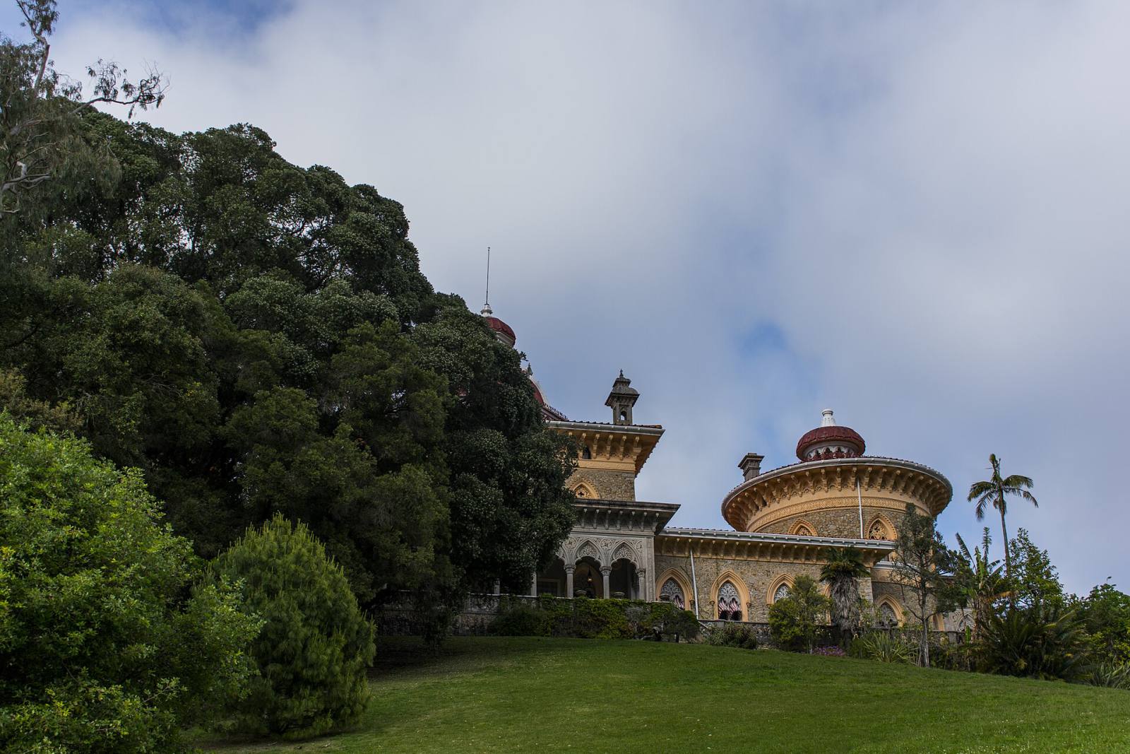 Monserrate and the gardens of Sintra with a botanist