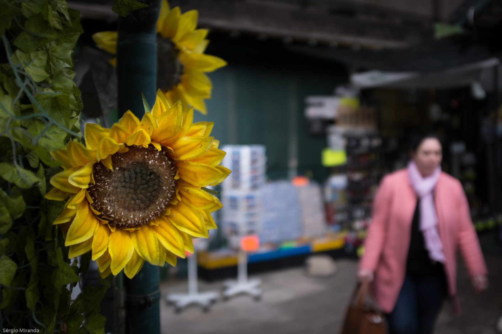 Porto food tour: Bolhão market, bifanas and a proper francesinha