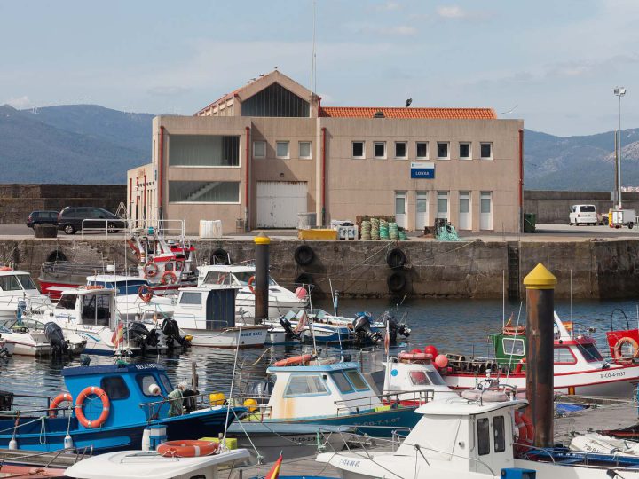 Porto petiscos and vinho verde evening