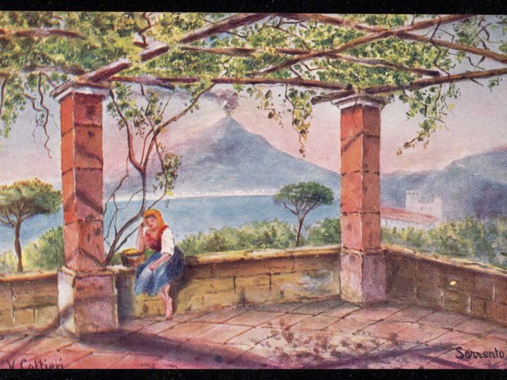 Lemon grove visit and cooking class in Sorrento