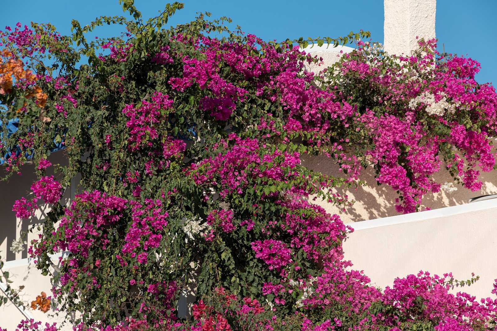 Akrotiri and the Venetian villages of Santorini