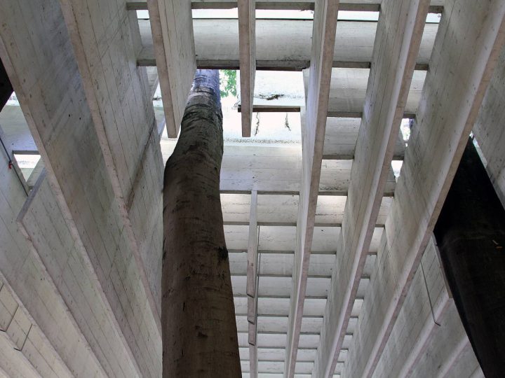 Biennale Arte: Giardini and Arsenale