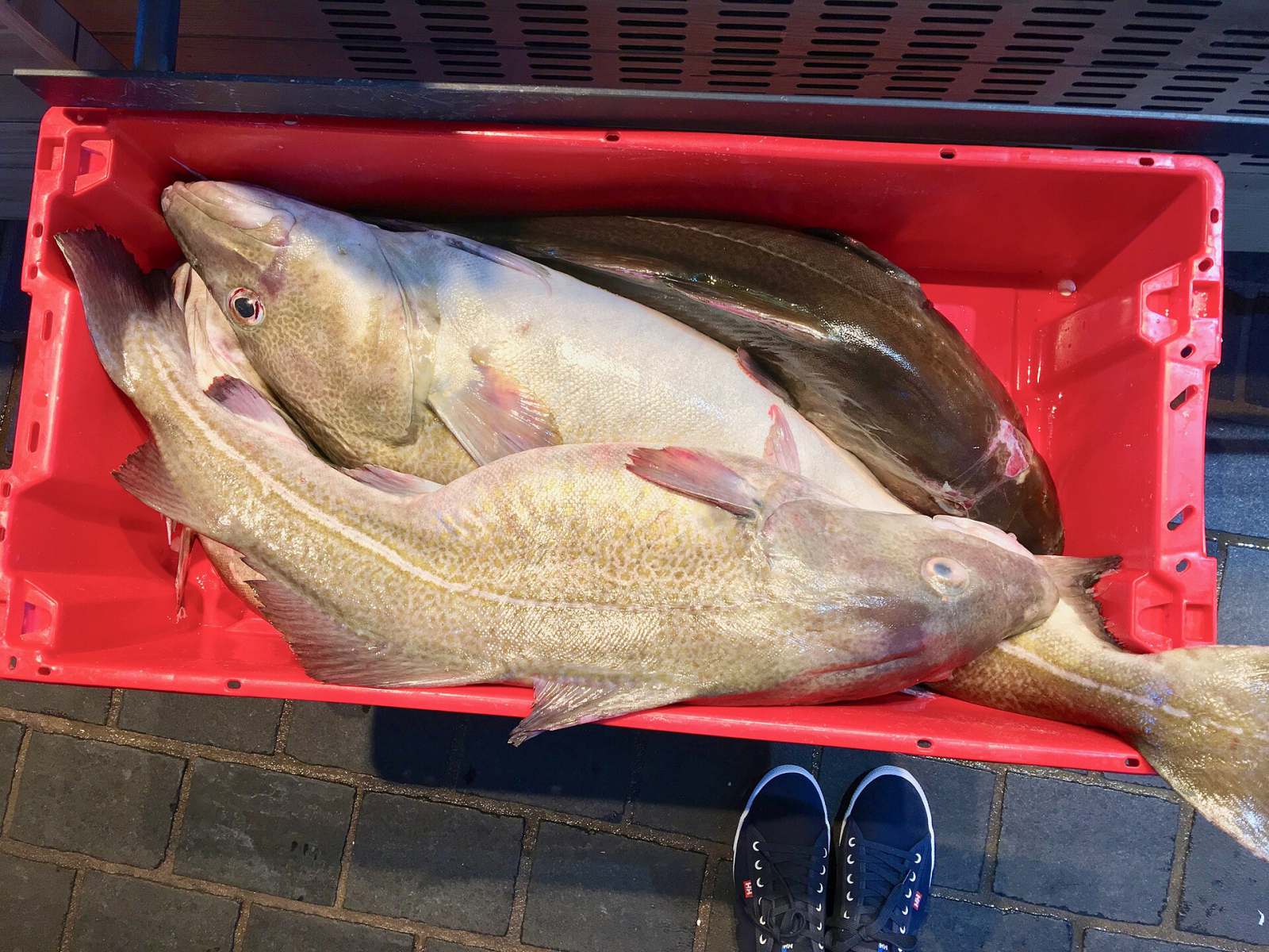 Bergen seafood: the fish market, klippfisk and fish soup