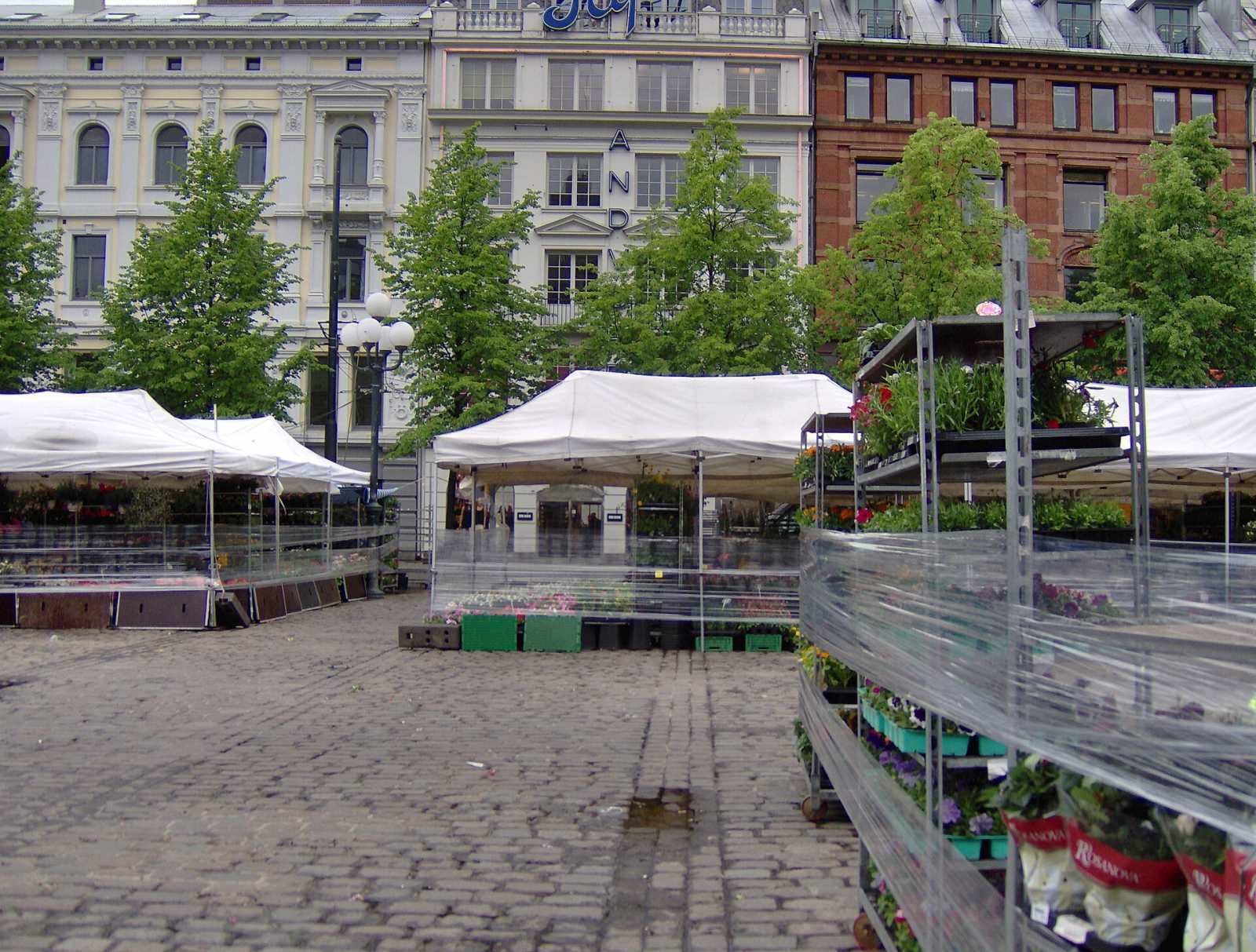 A Oslo market morning, live on video