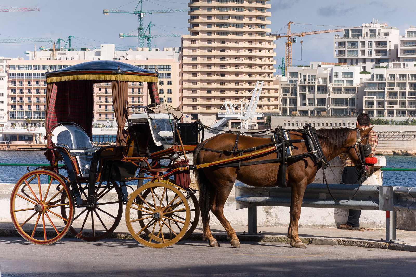 First time in Valletta? A 30-minute call with a local