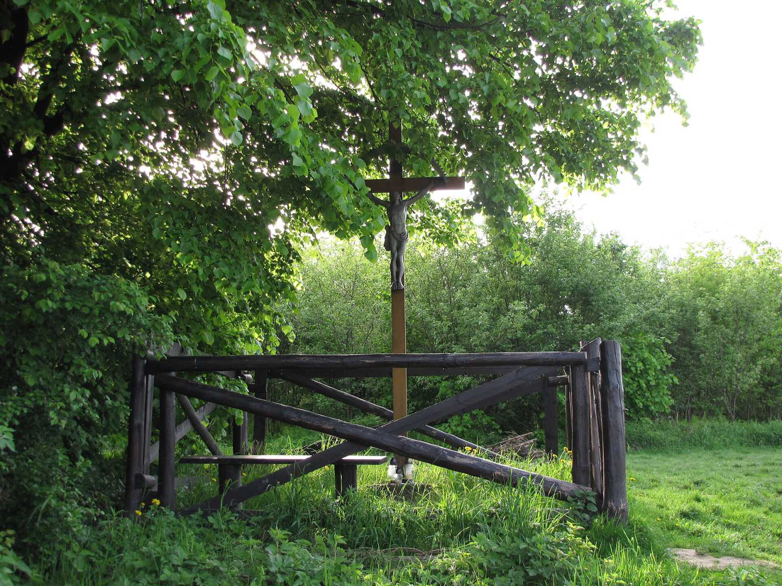 Krakow viewpoints and parks, live on video