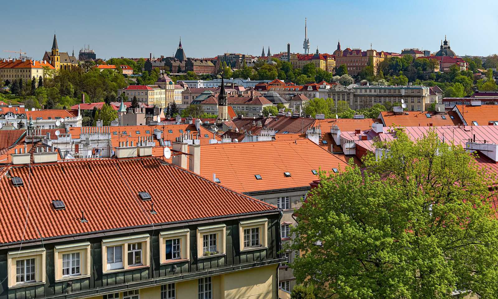 Prague food streets, live on video