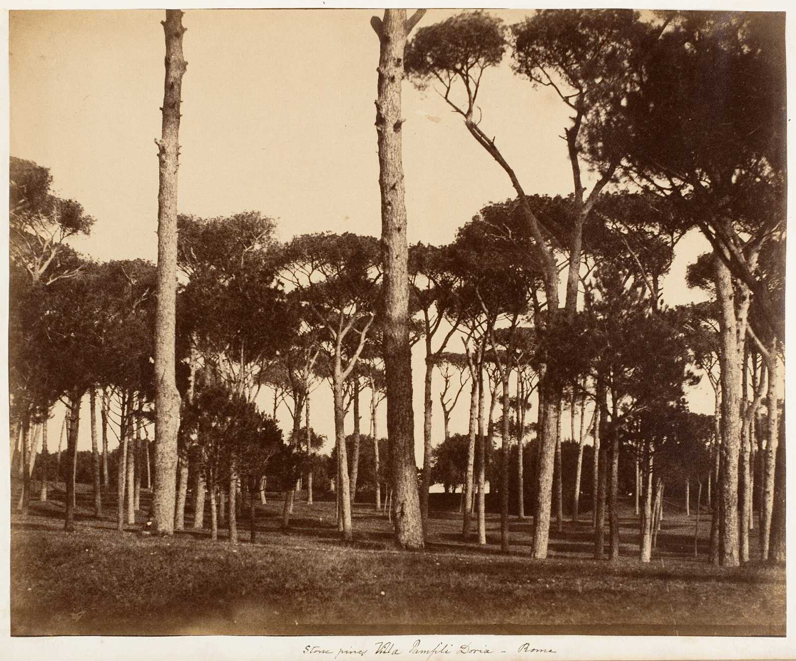 Rome viewpoints and parks, live on video