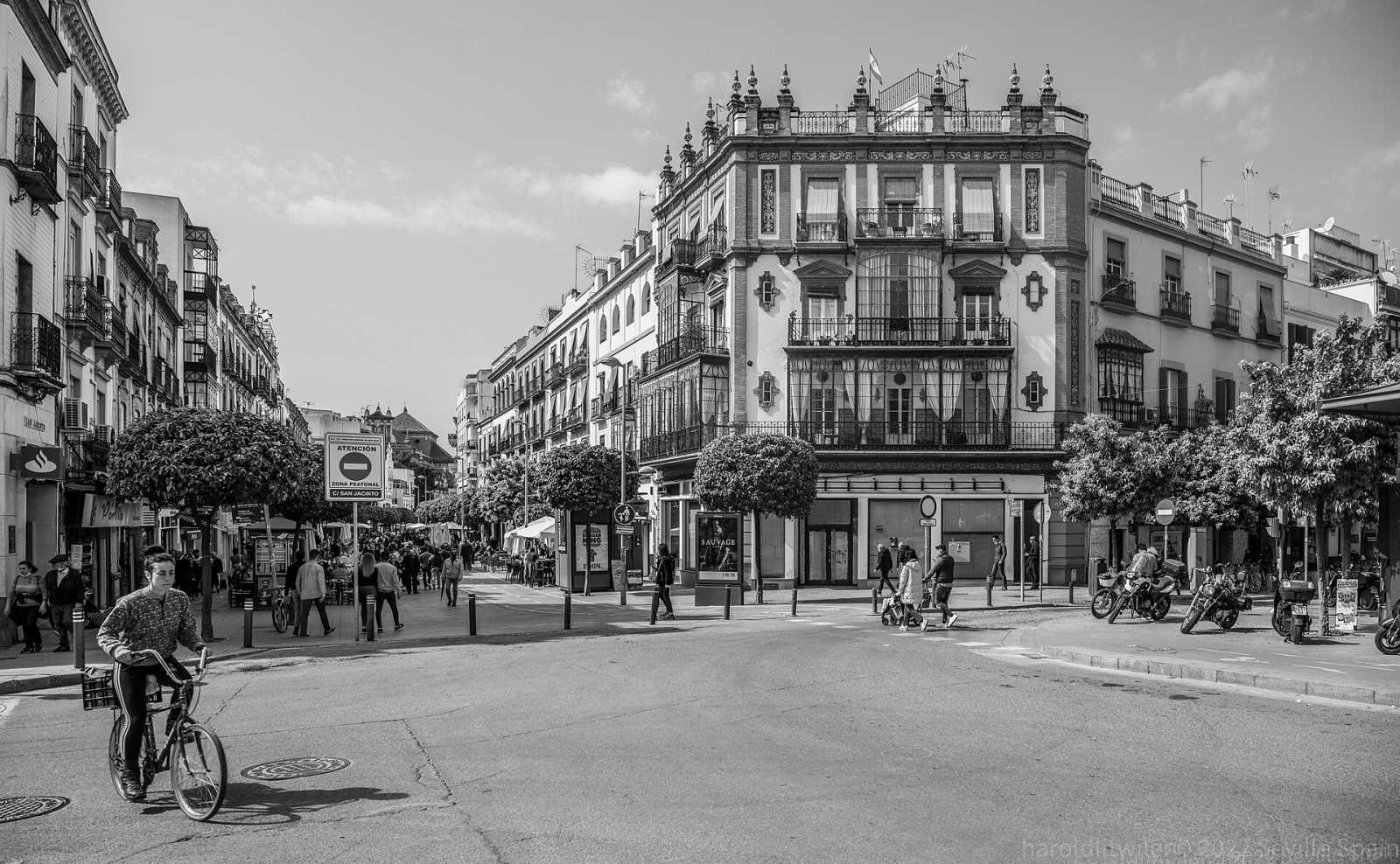 Seville food streets, live on video